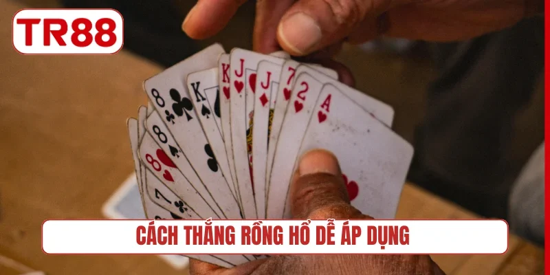 Cách thắng Rồng Hổ dễ áp dụng