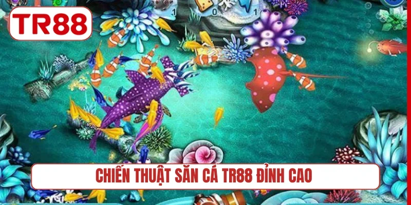 Chiến thuật săn cá TR88 đỉnh cao