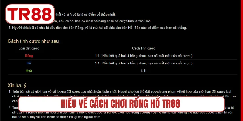 Hiểu về cách chơi Rồng Hổ TR88