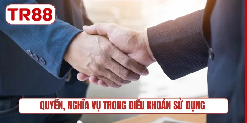 Quyền, nghĩa vụ trong điều khoản sử dụng