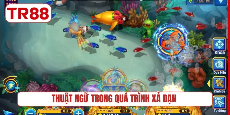 Thuật ngữ trong quá trình xả đạn